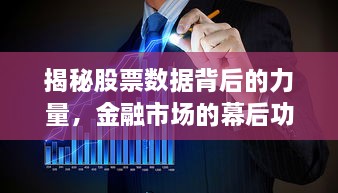 揭秘股票數(shù)據(jù)背后的力量，金融市場的幕后功臣