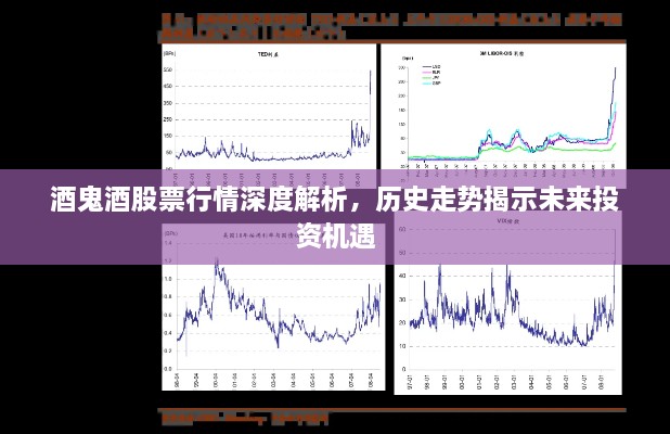 酒鬼酒股票行情深度解析，歷史走勢揭示未來投資機遇