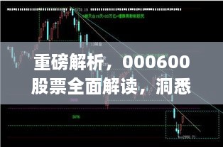 重磅解析，000600股票全面解讀，洞悉投資趨勢！