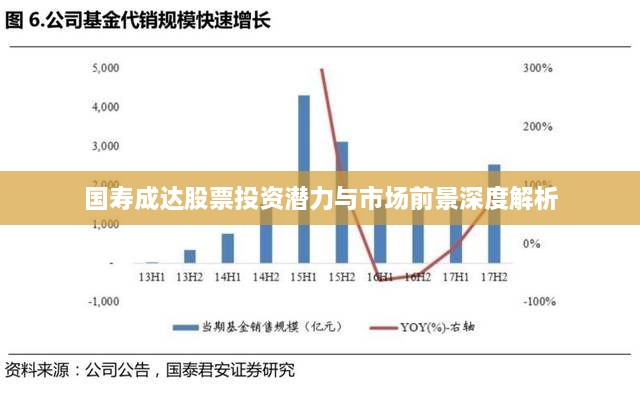 國壽成達股票投資潛力與市場前景深度解析