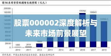 股票000002深度解析與未來市場前景展望