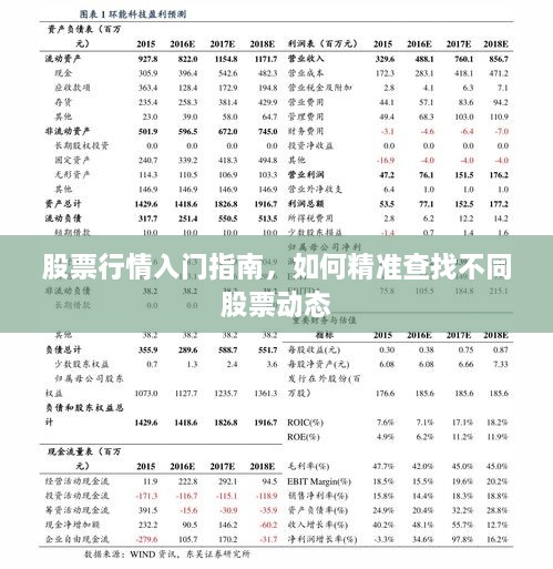 股票行情入門指南，如何精準(zhǔn)查找不同股票動(dòng)態(tài)