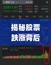 揭秘股票跌漲背后的風(fēng)險(xiǎn)與策略，如何巧妙應(yīng)對(duì)股市波動(dòng)？