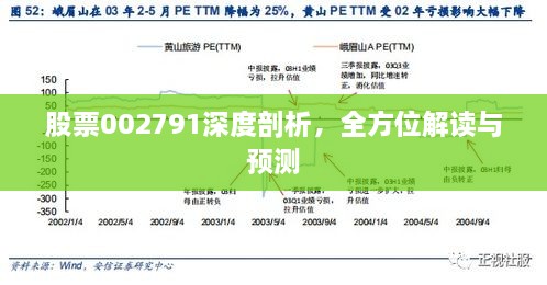 股票002791深度剖析，全方位解讀與預測