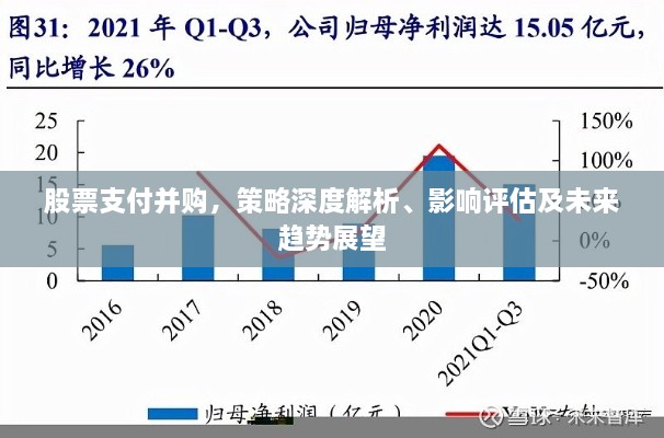 股票支付并購，策略深度解析、影響評估及未來趨勢展望