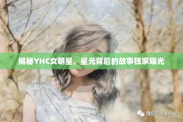 揭秘YHC女明星，星光背后的故事獨(dú)家曝光