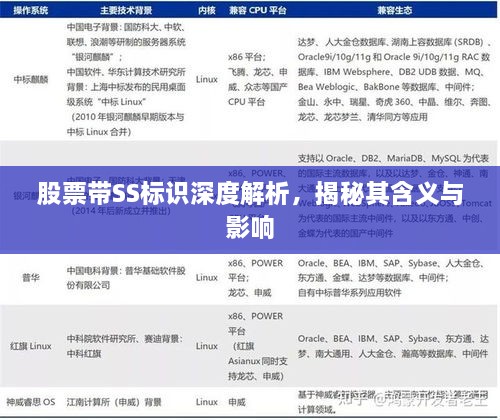 股票帶SS標(biāo)識深度解析，揭秘其含義與影響