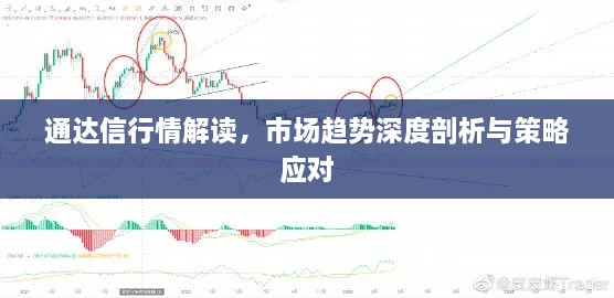 通達(dá)信行情解讀，市場(chǎng)趨勢(shì)深度剖析與策略應(yīng)對(duì)