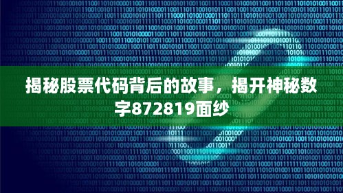 揭秘股票代碼背后的故事，揭開神秘?cái)?shù)字872819面紗