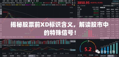 揭秘股票前XD標(biāo)識(shí)含義，解讀股市中的特殊信號(hào)！