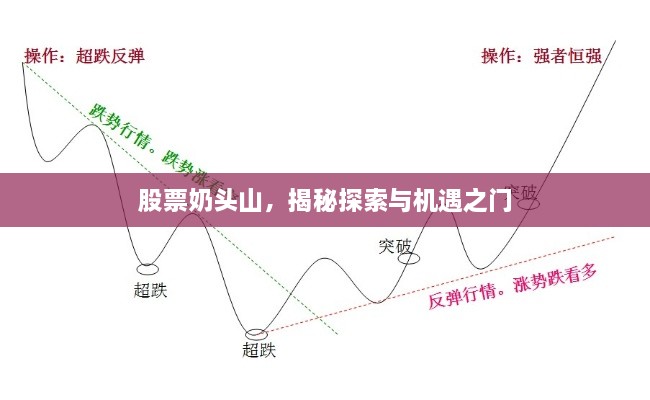 股票奶頭山，揭秘探索與機(jī)遇之門