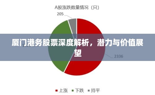 廈門港務(wù)股票深度解析，潛力與價值展望