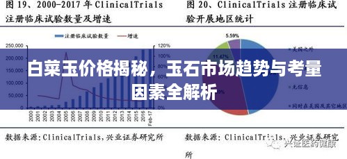 白菜玉價格揭秘，玉石市場趨勢與考量因素全解析