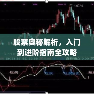 股票奧秘解析，入門到進(jìn)階指南全攻略