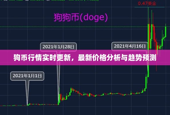 狗幣行情實時更新，最新價格分析與趨勢預(yù)測