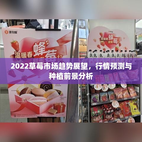 2022草莓市場趨勢(shì)展望，行情預(yù)測(cè)與種植前景分析