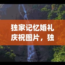 獨家記憶婚禮慶祝圖片，獨家記憶圖片唯美 