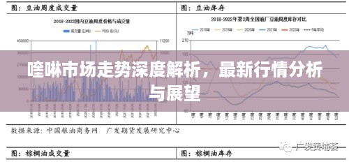 喹啉市場走勢深度解析，最新行情分析與展望