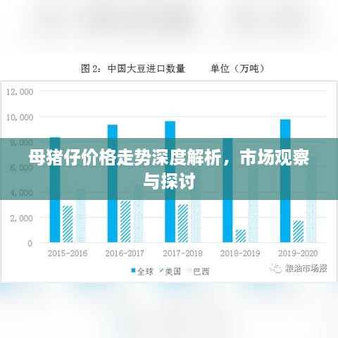 母豬仔價格走勢深度解析，市場觀察與探討