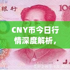 CNY幣今日行情深度解析，最新價(jià)格動(dòng)態(tài)一網(wǎng)打盡！