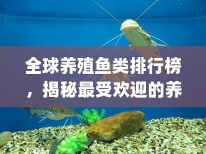 全球養(yǎng)殖魚類排行榜，揭秘最受歡迎的養(yǎng)殖魚類種類！