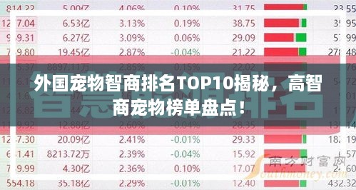 外國寵物智商排名TOP10揭秘，高智商寵物榜單盤點！