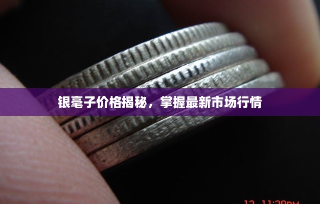 銀毫子價(jià)格揭秘，掌握最新市場(chǎng)行情