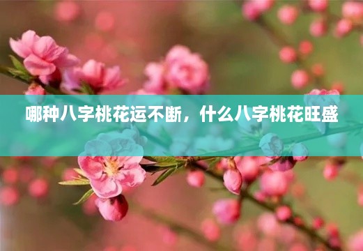 哪種八字桃花運不斷，什么八字桃花旺盛 