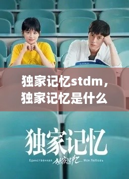 獨家記憶stdm，獨家記憶是什么意思 