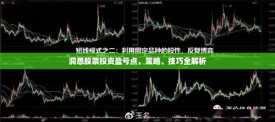 洞悉股票投資盈虧點，策略、技巧全解析