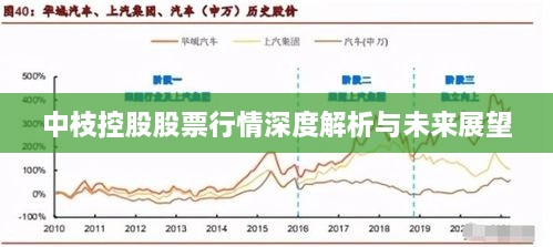 中枝控股股票行情深度解析與未來展望