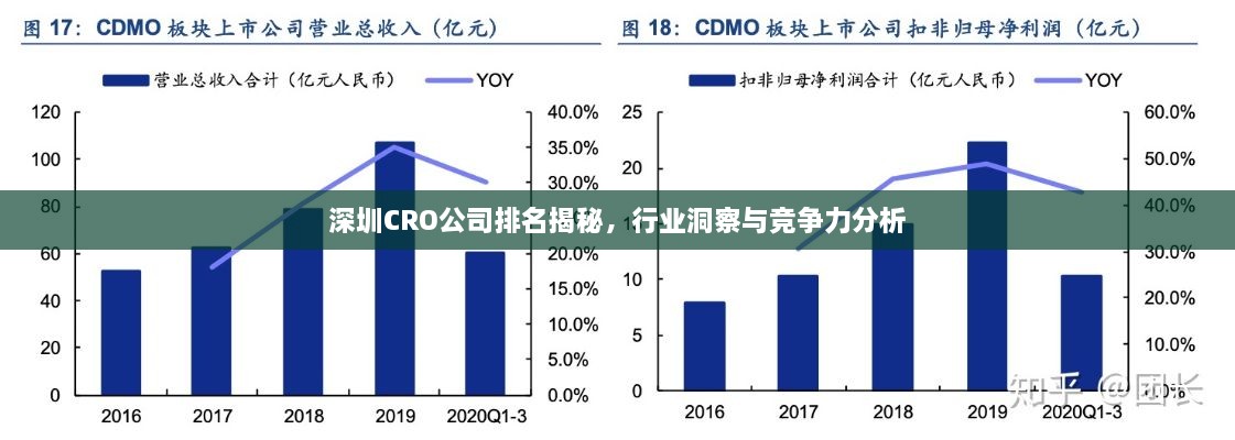 深圳CRO公司排名揭秘，行業(yè)洞察與競爭力分析