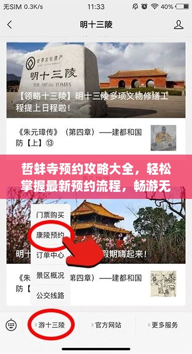 哲蚌寺預(yù)約攻略大全，輕松掌握最新預(yù)約流程，暢游無阻！