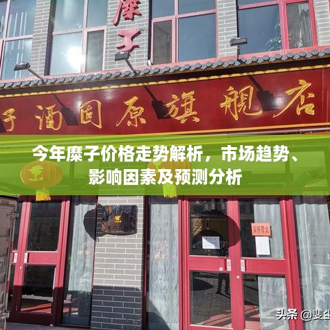 今年糜子價格走勢解析，市場趨勢、影響因素及預(yù)測分析