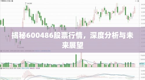 揭秘600486股票行情，深度分析與未來(lái)展望