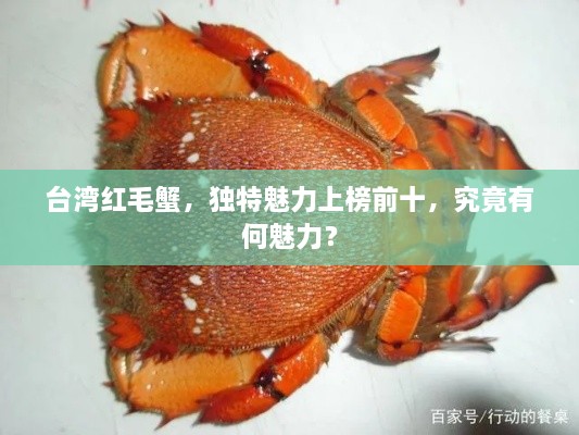 臺(tái)灣紅毛蟹，獨(dú)特魅力上榜前十，究竟有何魅力？