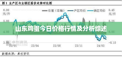 刻畫(huà)入微