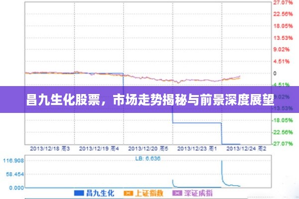 昌九生化股票，市場(chǎng)走勢(shì)揭秘與前景深度展望