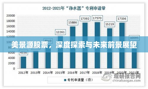 美景源股票，深度探索與未來前景展望