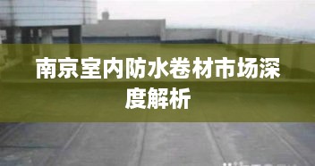 南京室內(nèi)防水卷材市場(chǎng)深度解析