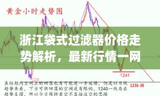 浙江袋式過濾器價(jià)格走勢解析，最新行情一網(wǎng)打盡！