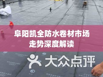 阜陽凱全防水卷材市場走勢深度解讀