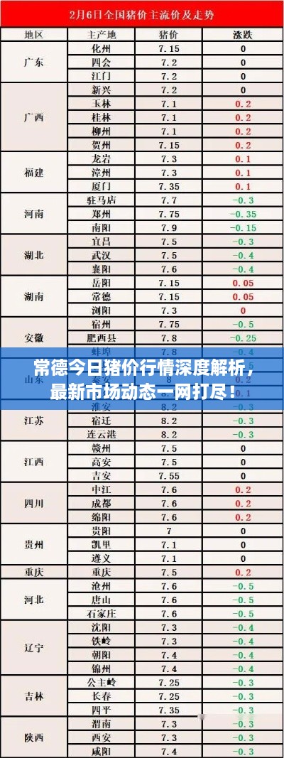 常德今日豬價行情深度解析，最新市場動態(tài)一網(wǎng)打盡！