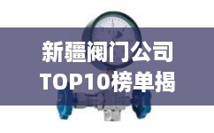 新疆閥門(mén)公司TOP10榜單揭曉，行業(yè)領(lǐng)軍者一覽無(wú)余