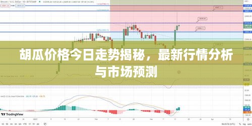 胡瓜價格今日走勢揭秘，最新行情分析與市場預測