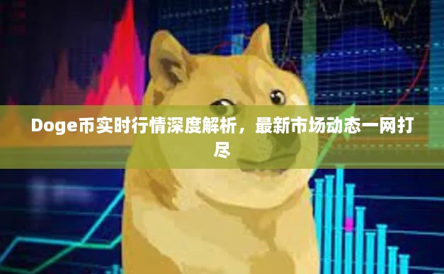 Doge幣實(shí)時(shí)行情深度解析，最新市場(chǎng)動(dòng)態(tài)一網(wǎng)打盡