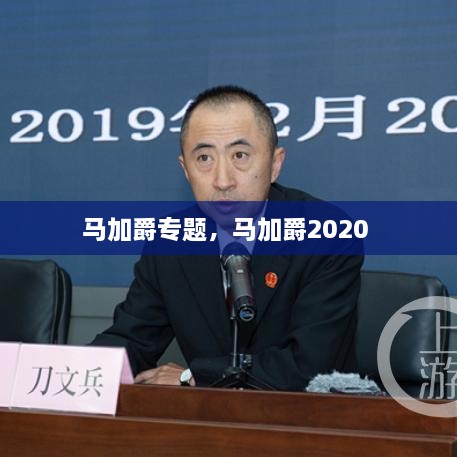 馬加爵專題，馬加爵2020 