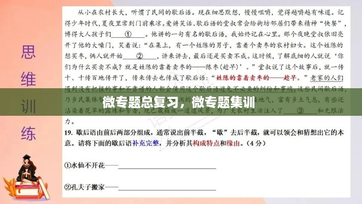 微專題總復習，微專題集訓 