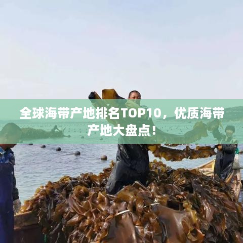 全球海帶產(chǎn)地排名TOP10，優(yōu)質(zhì)海帶產(chǎn)地大盤點(diǎn)！