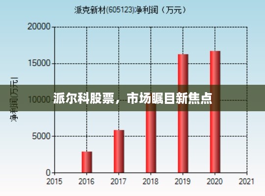 派爾科股票，市場(chǎng)矚目新焦點(diǎn)